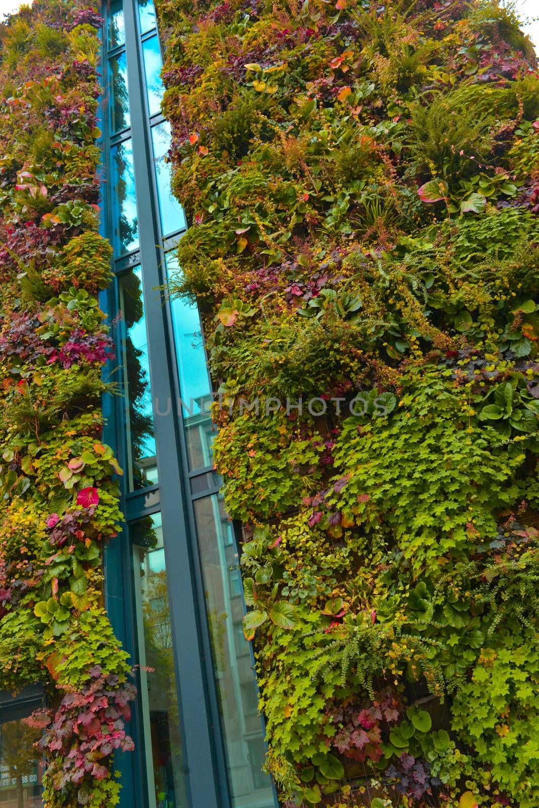 Green wall building in the city, France