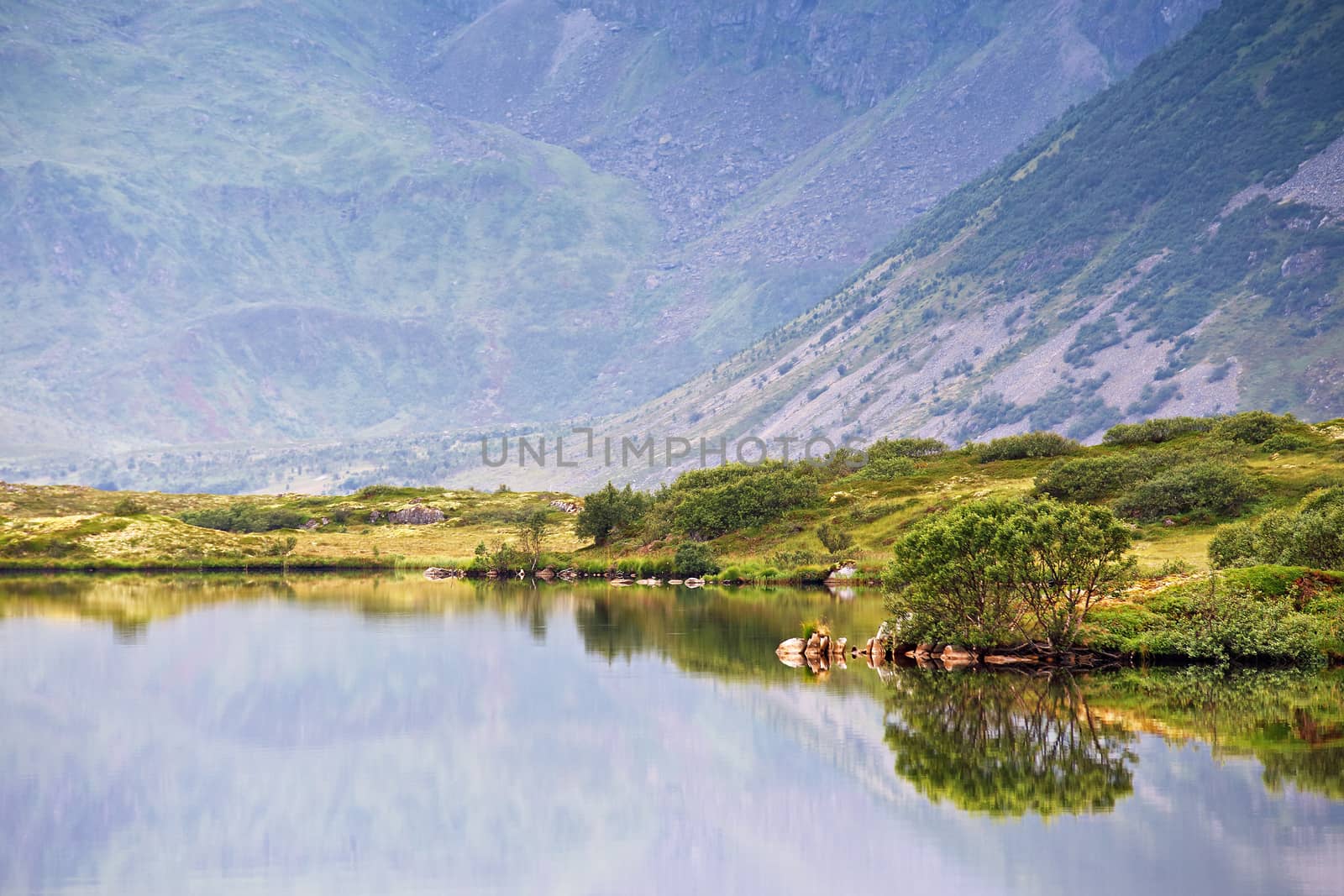 Norway fjord on lofoten islands. Cloudy Nordic day.