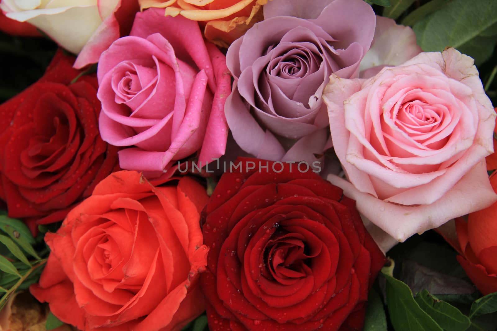 Roses in various bright colors in a mixed bridak bouquet