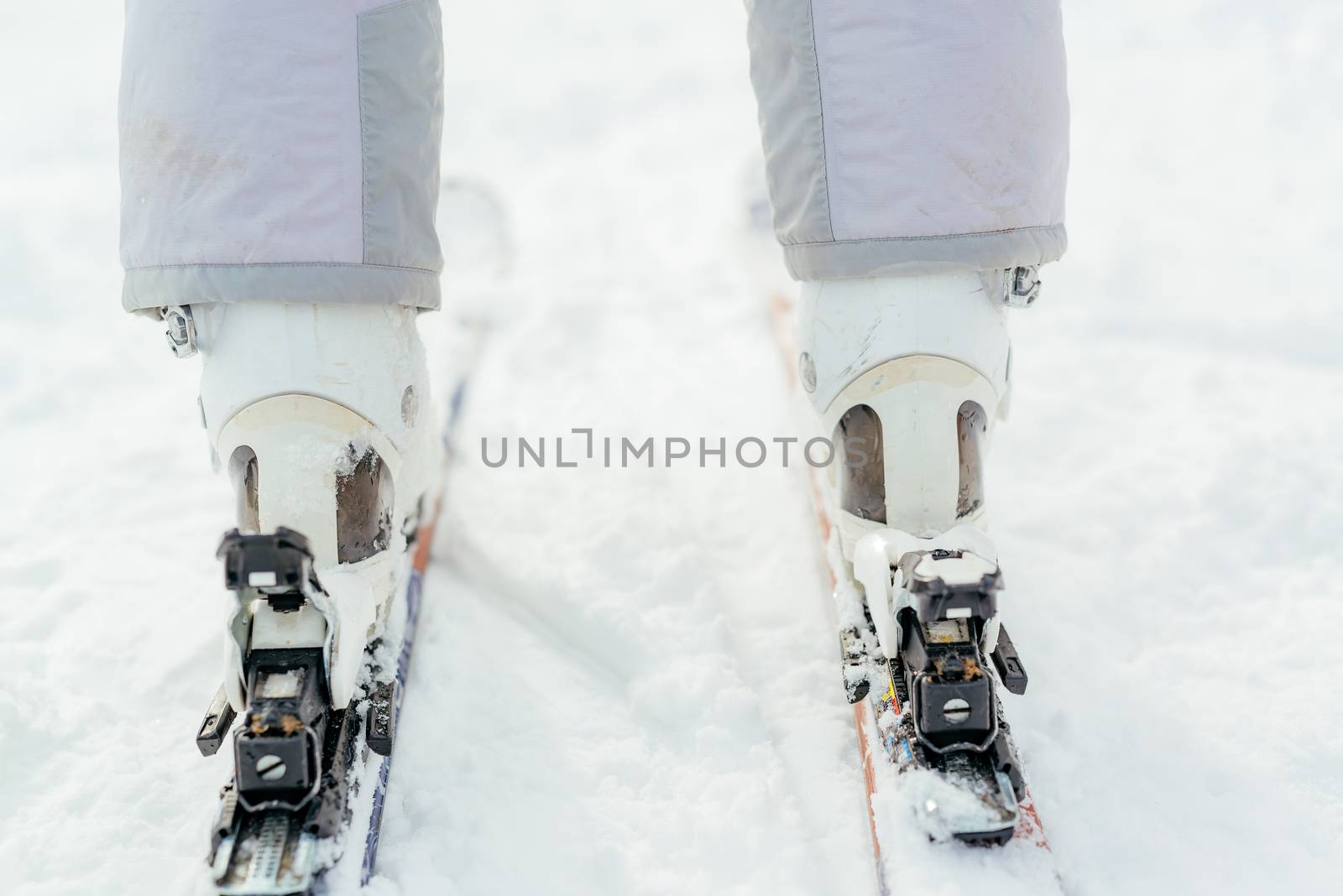 Close-up of a skis and boots on snow. Rear view.