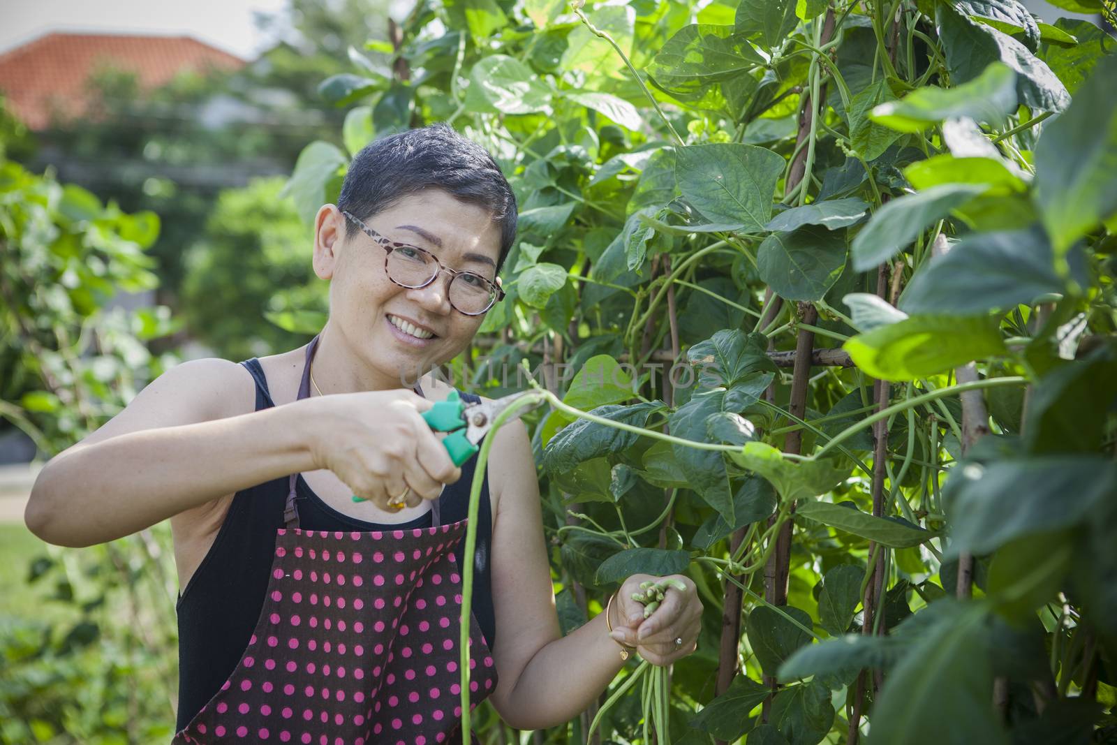 woman harvesting home garden vegetable happiness emotion