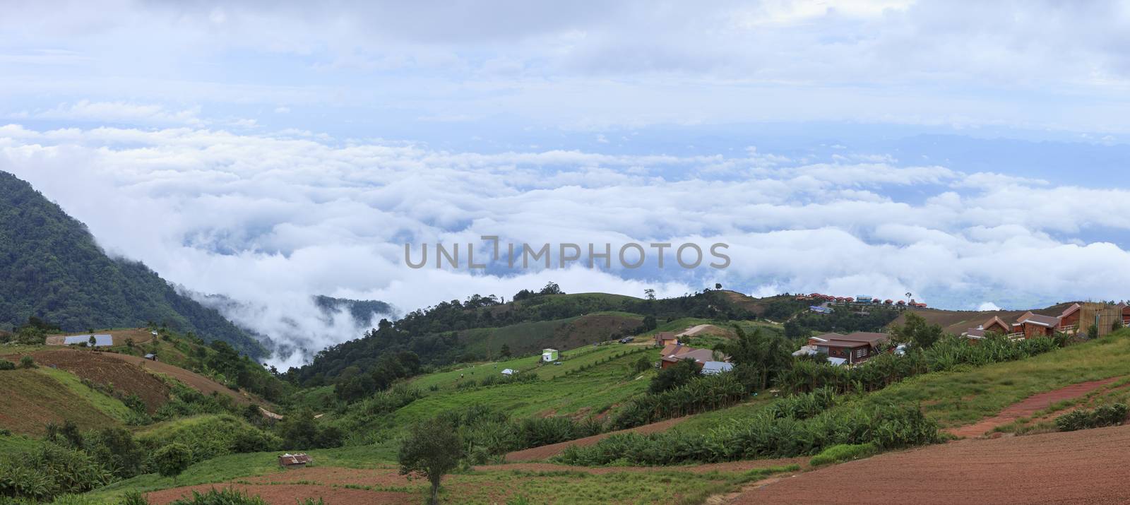 natural foggy cloud and mountain view of phu tubberk petchaboon province thailand important traveling destination