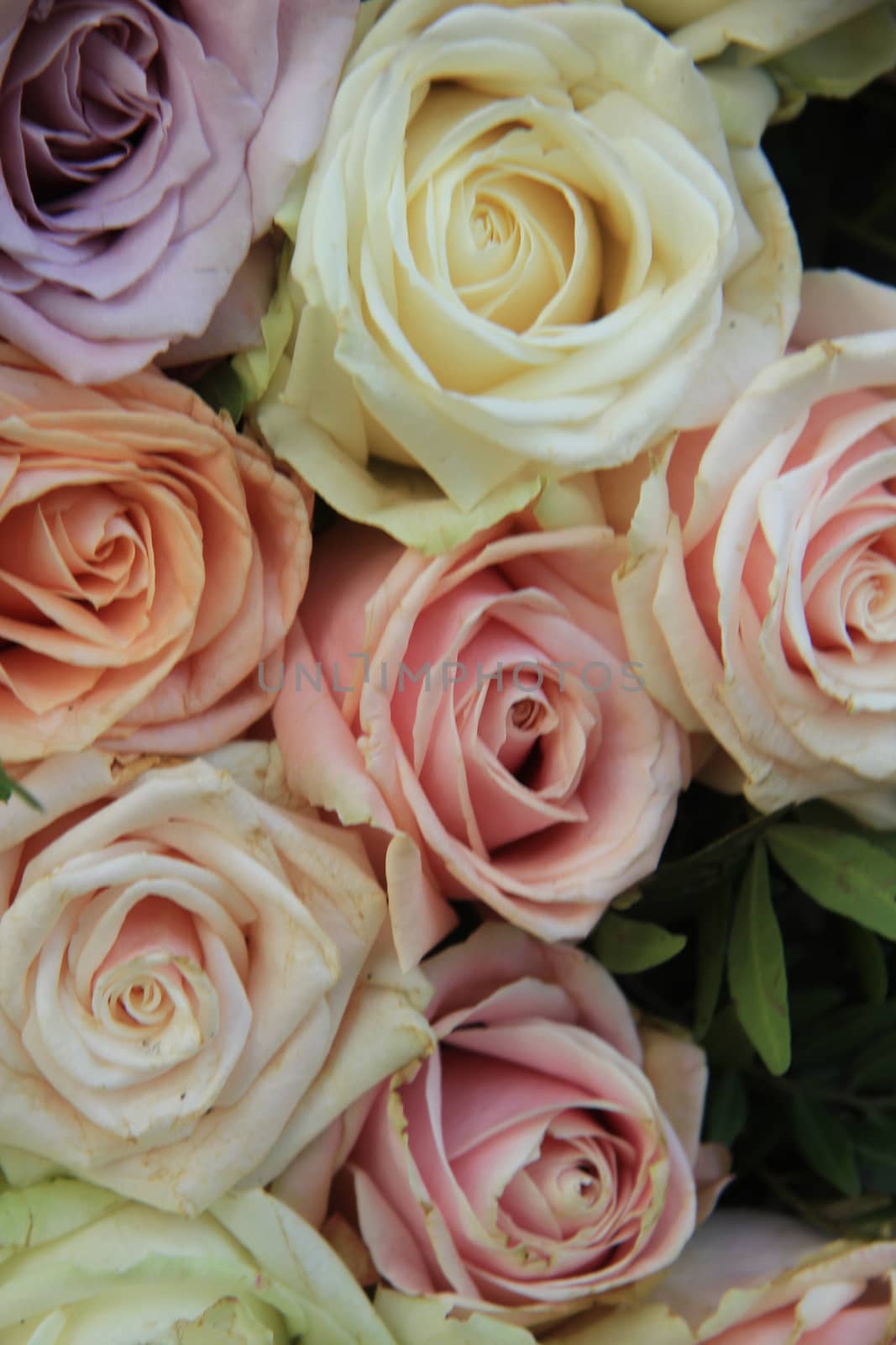 Pastel roses in various colors in a mixed wedding arrangement