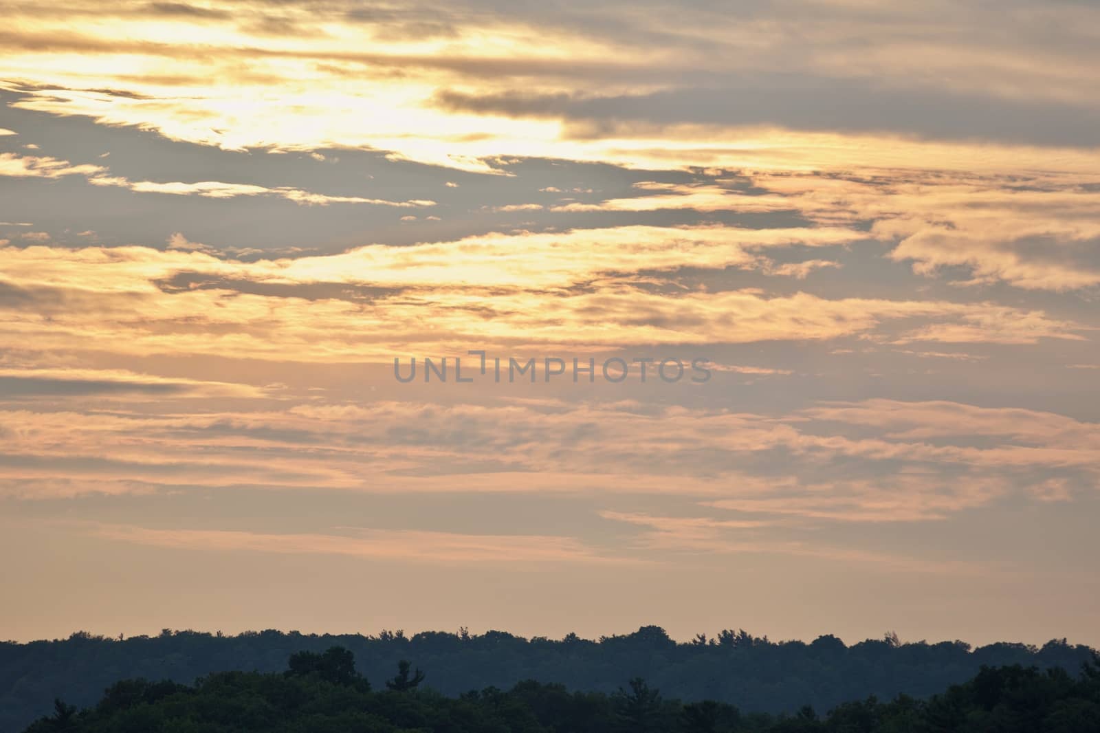 Beautiful isolated picture of a sunset and the forest by teo