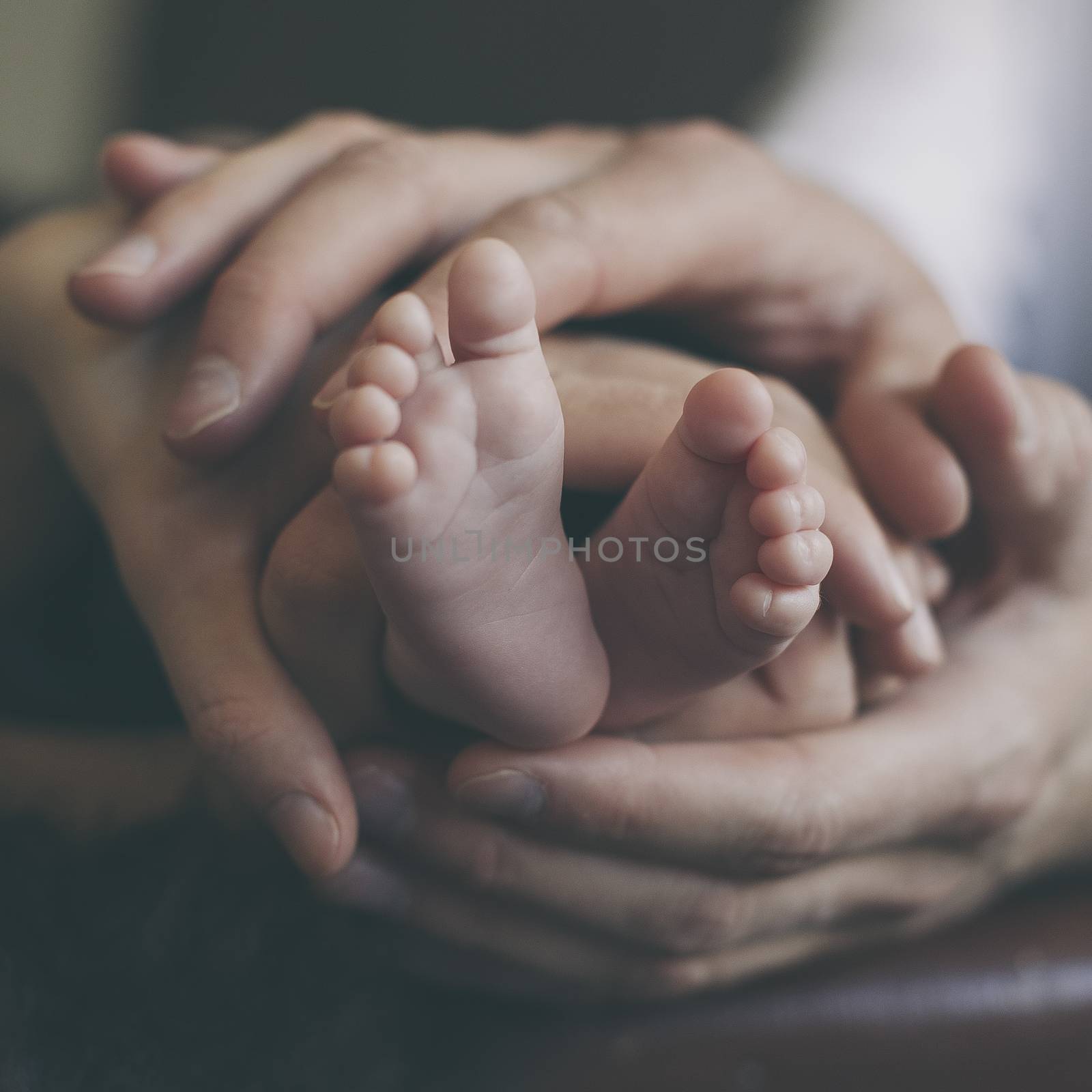 Baby feet by iselin_hermansen