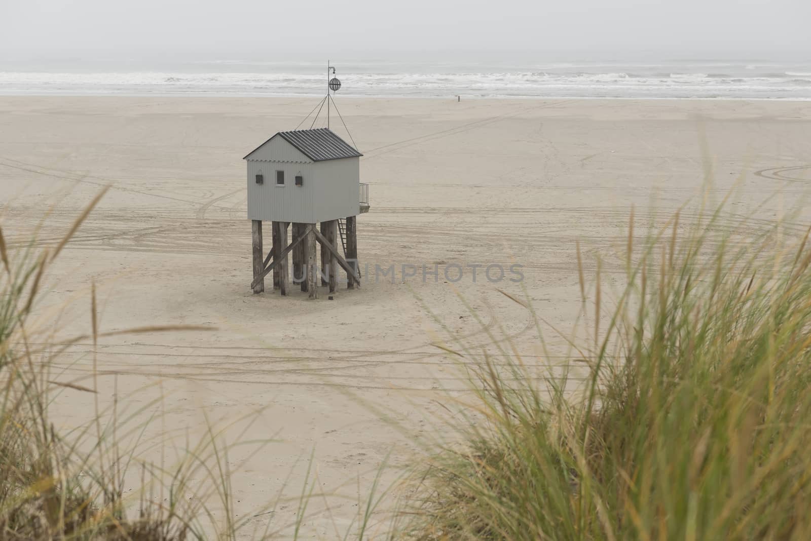 The sea cottage of Terschelling is from the end of 2015 posted near pole 24 on the North Sea Beach at the dunes on a larger and more secure distance from the North Sea on a new location. Picture was taken on a foggy and drizzly autumn day
