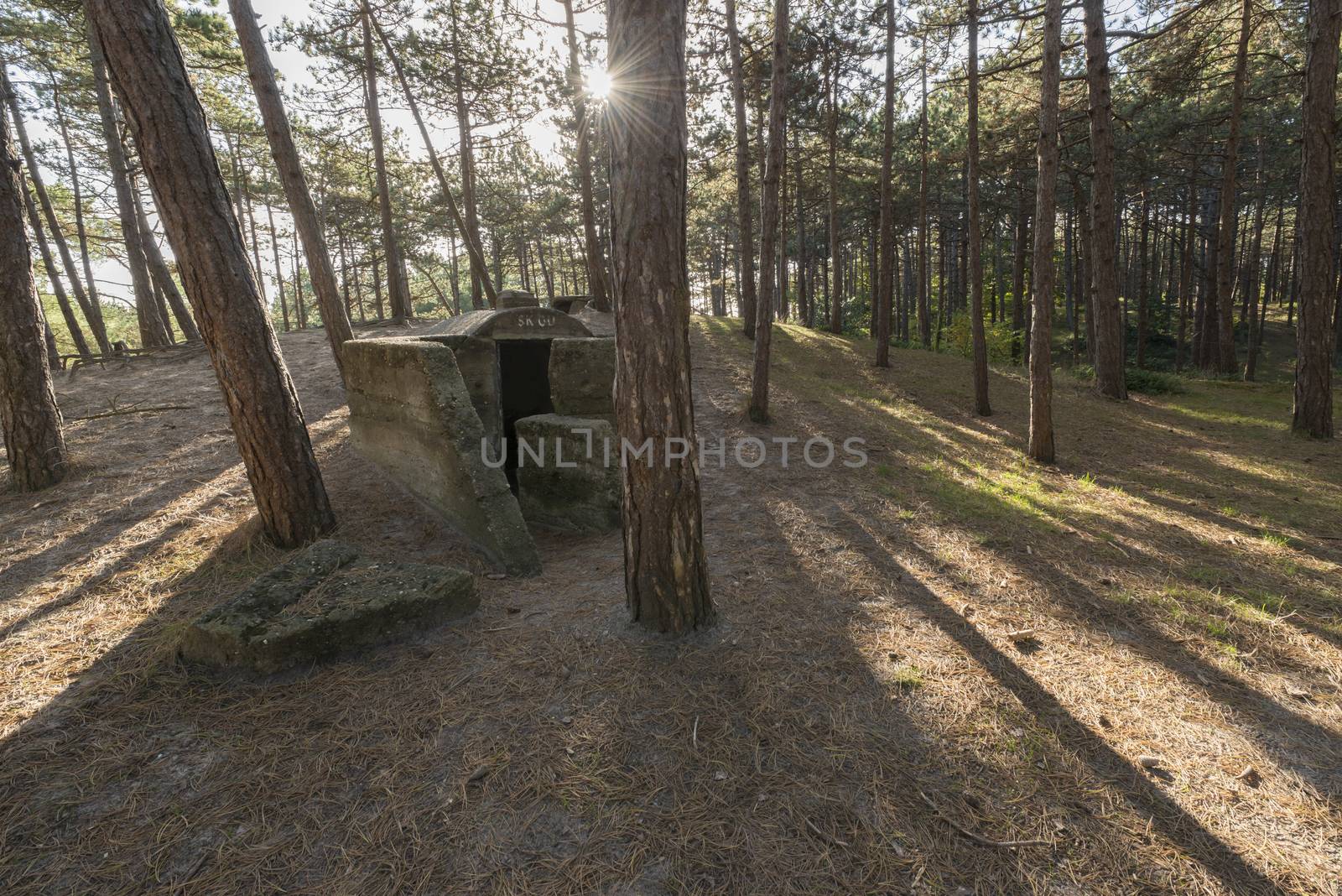 Old German bunker on the island of Terschelling in the Netherlands, part of the Atlantic Wall, a more than 5000 kilometres long line of defence, which nazi Germany during the second world war in the occupied territories has laid out to prevent an Allied invasion
