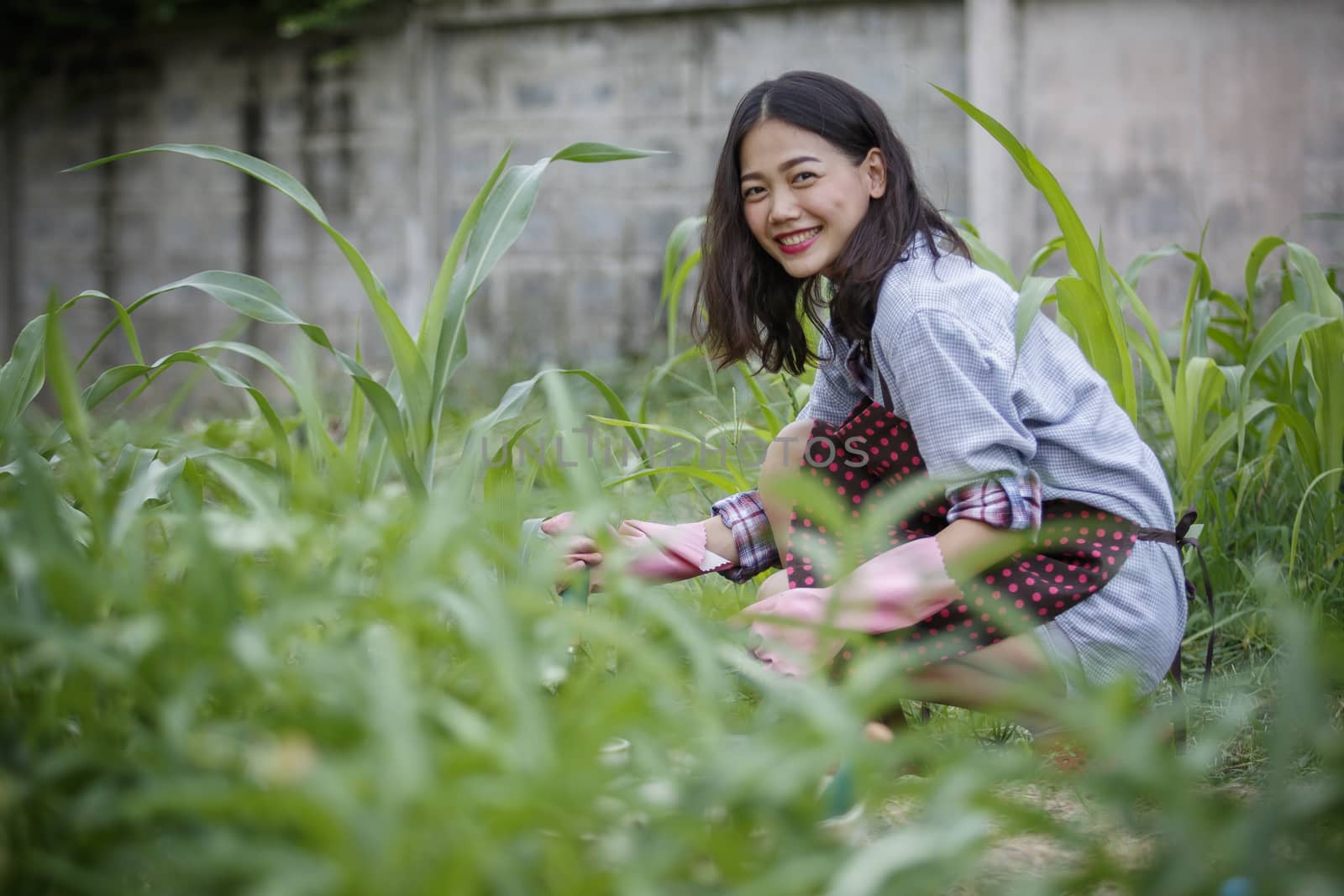 younger asian woman in home gardening ,hipster people lifestyle