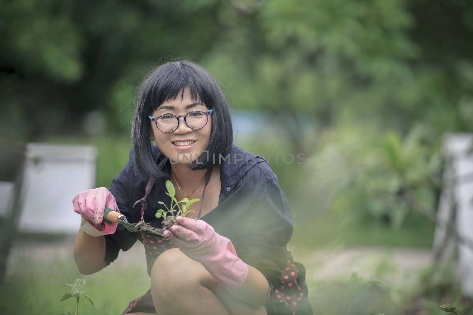 asian woman planting organic vegetable at  home garden ,people healthy leisure lifestyle 