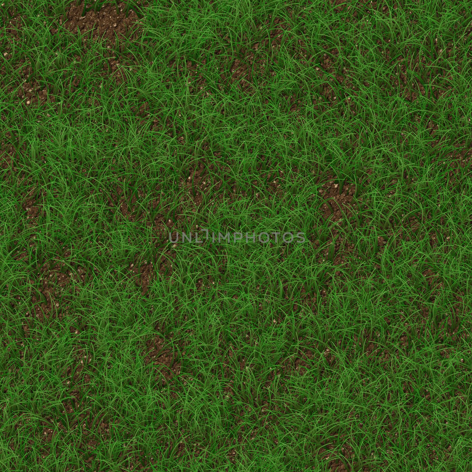 Green grass seamless texture background.