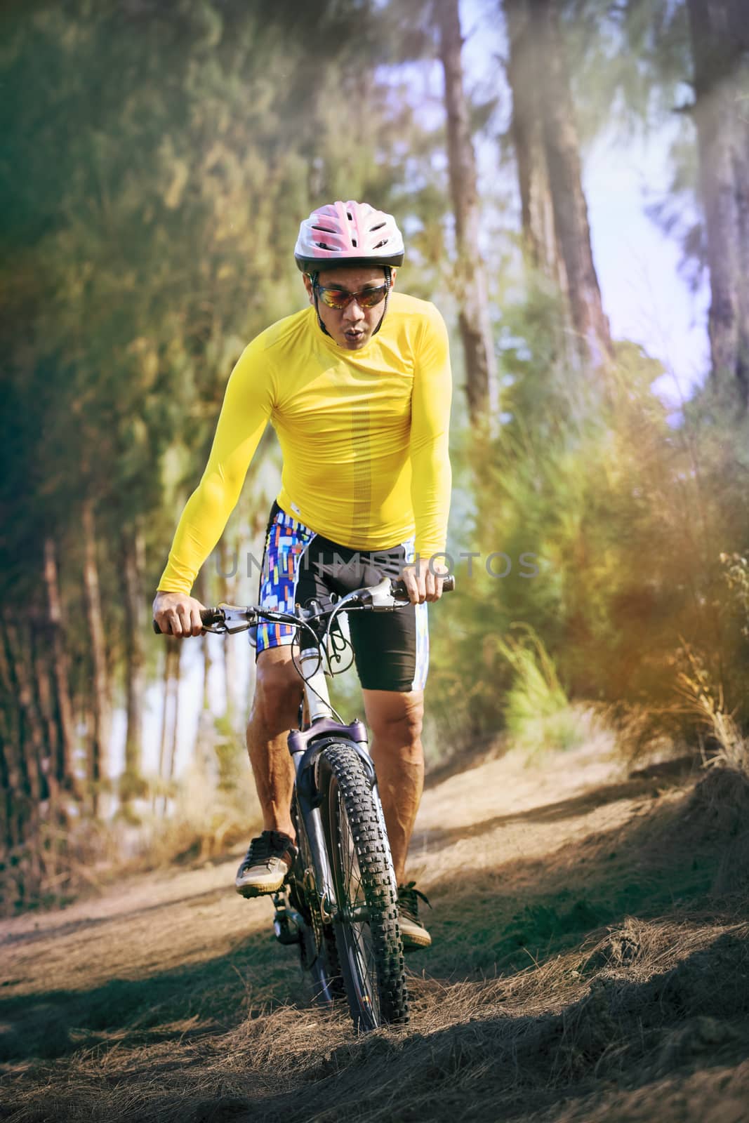 young man riding mountain bike mtb in jungle track use for sport healthy and holiday activities life style