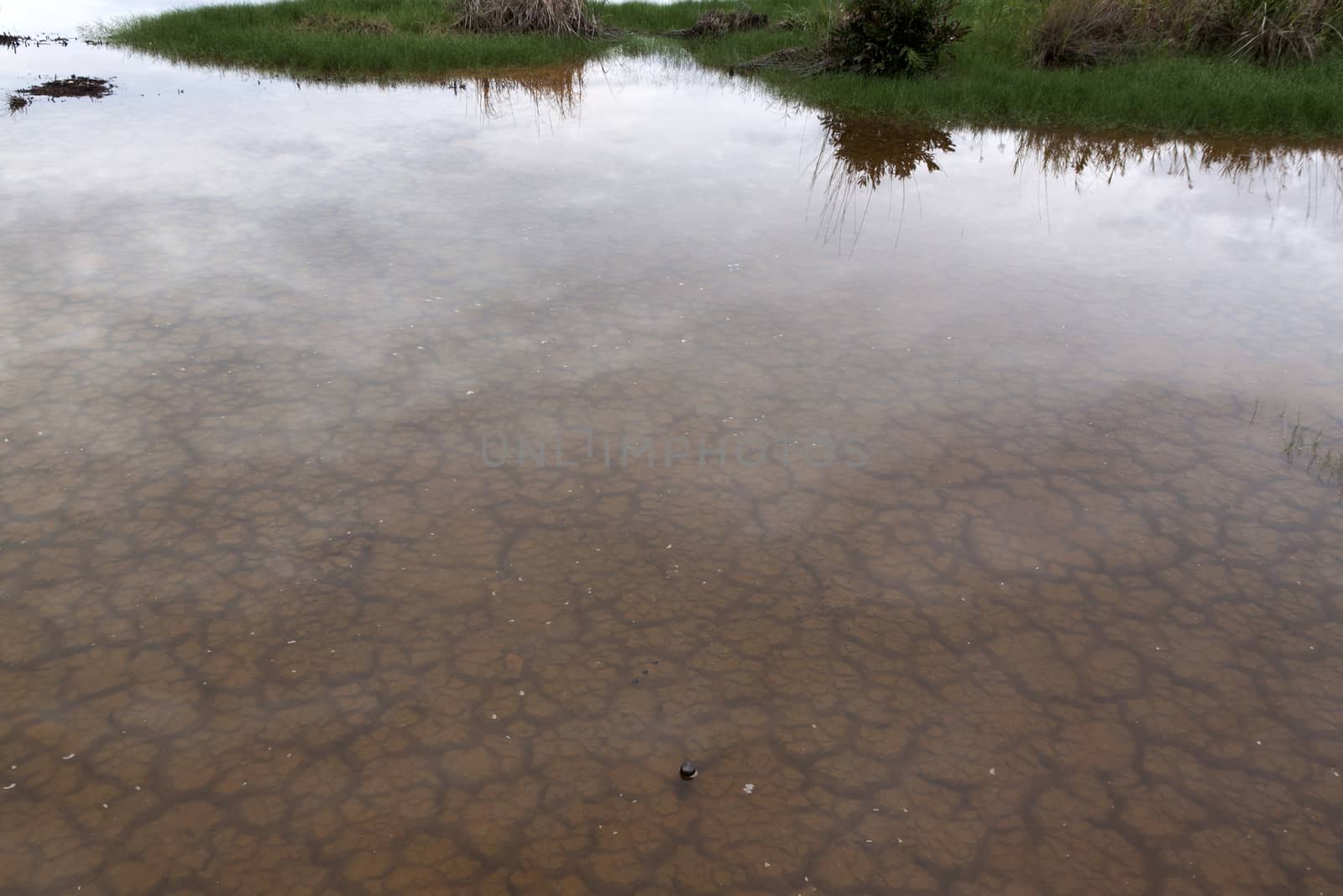 The soil dried had under the flooded. Under water see through of Drought still see traces