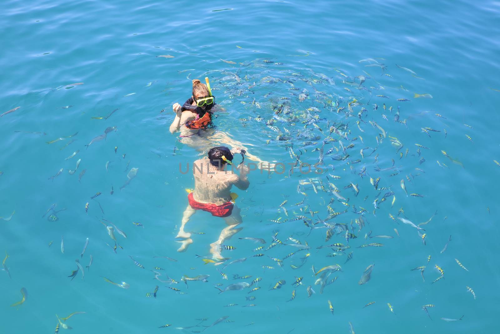 TRAT THAILAND - OCT29 : visitor  snorkeling and feeding some food for marine fish and enjoy activities on blue clear water of koh chang important marine national park eastern of thailand  on October29, 2014 in Trat eastern of Thailand 