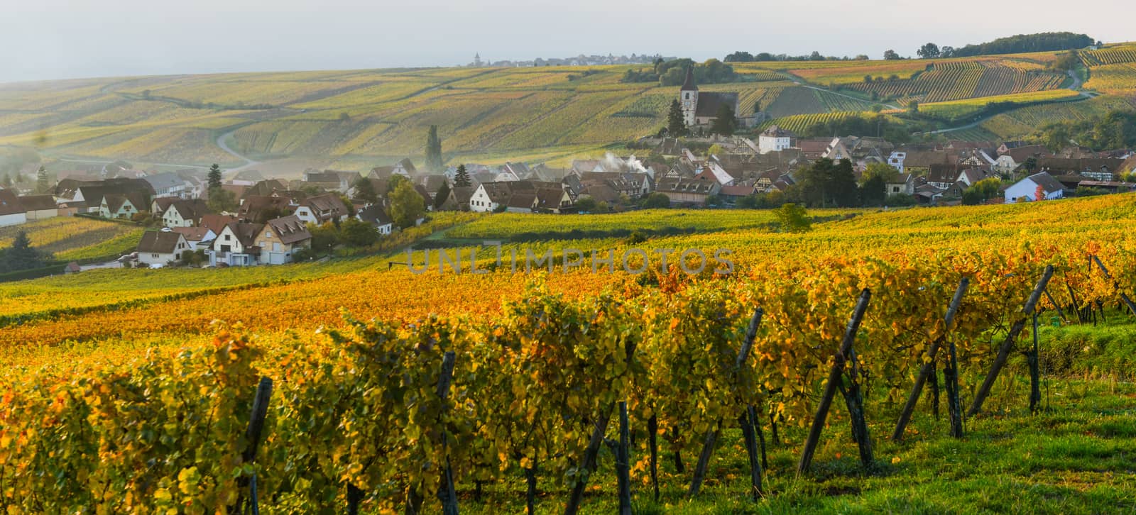 Alsatian vineyards, Alsace, France, Europe, Autumn, Mountain,