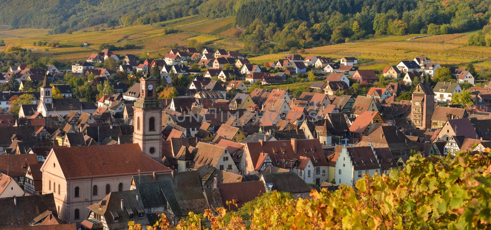 Alsace village, with vineyard, Riquewhir. France, Europe