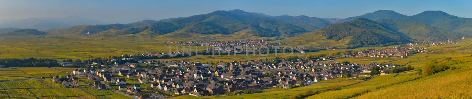 France, Haut-Rhin, 68, Alsace Wine Route, Kaysersberg, the vineyard, the Sainte-Croix church and the keep of the imperial castle