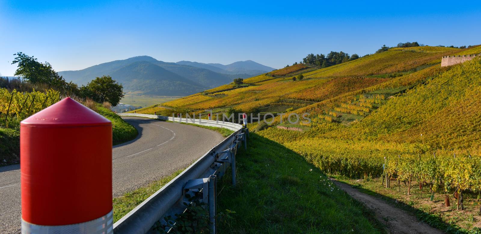Wine Road, Vineyards of Alsace in France, Europe