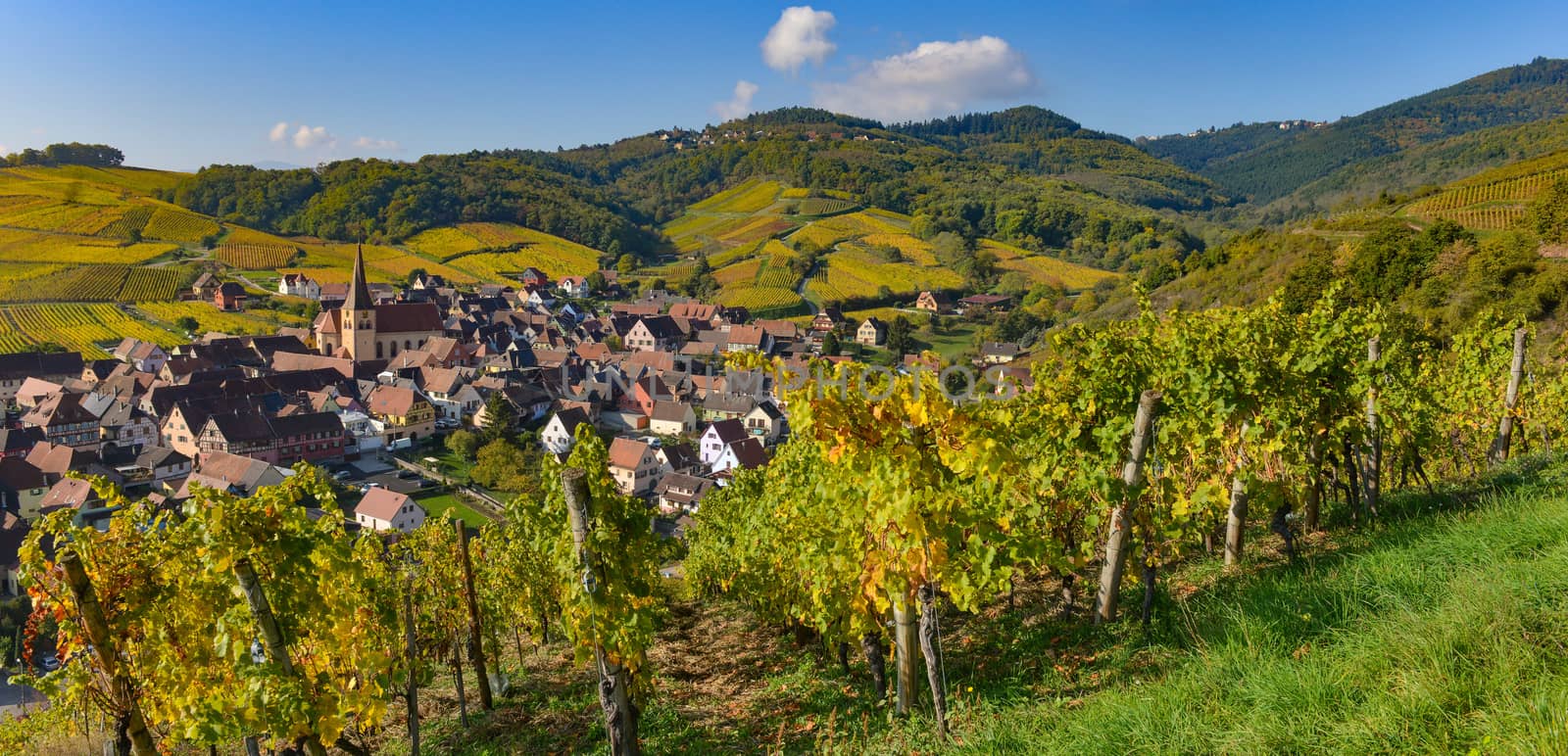 Niedermorschwih, Alsatian vineyards, Alsace, France, Europe, Autumn, Mountain,