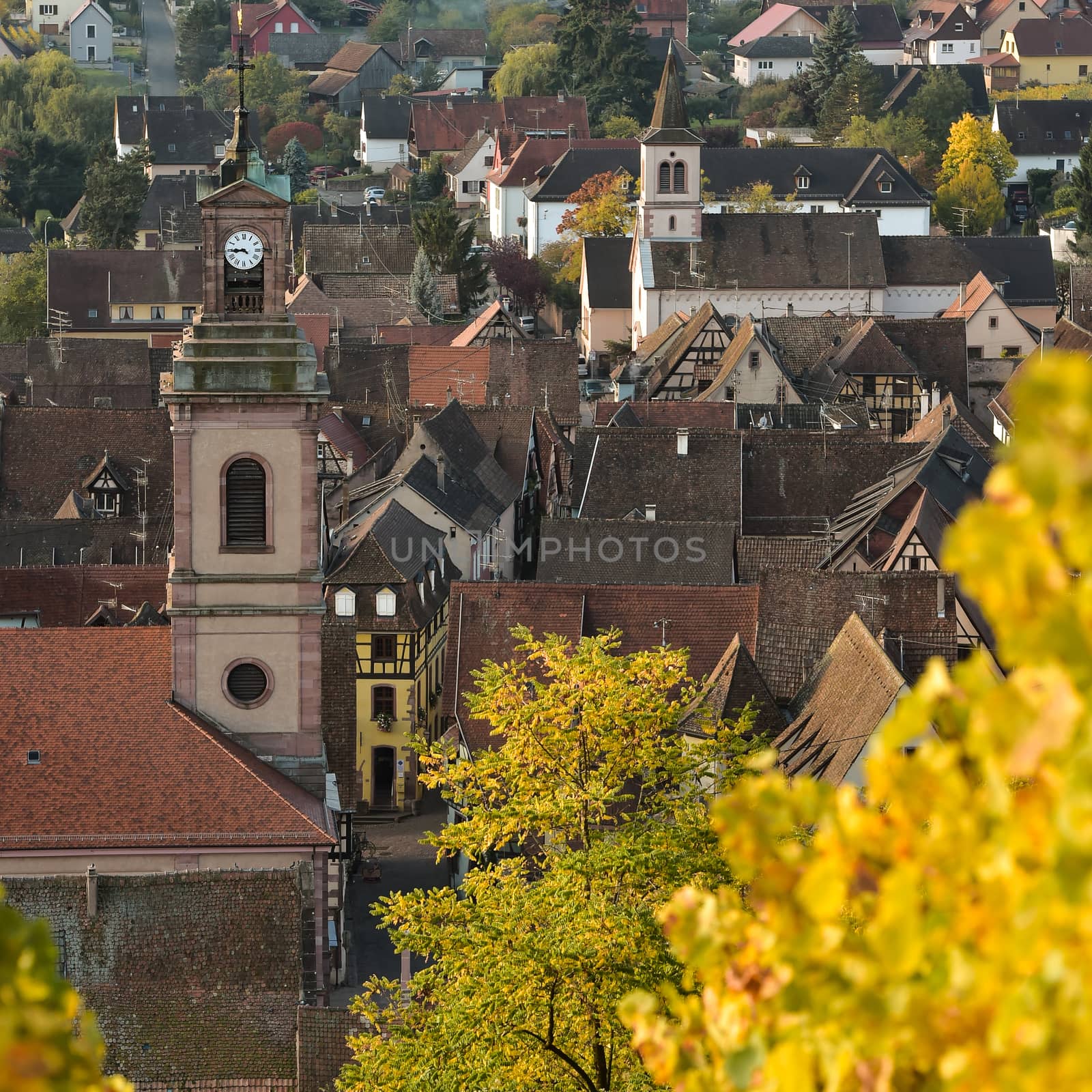 Alsace village, vineyard, Riquewhir, France, Europe, Automn