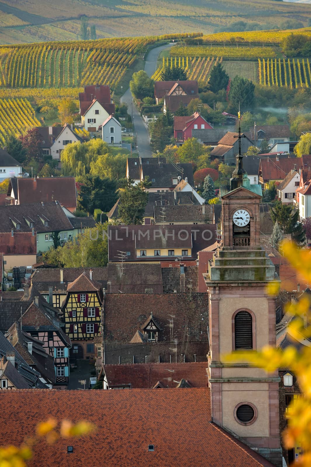 Alsace village, vineyard, Riquewhir, France, Europe, Automn