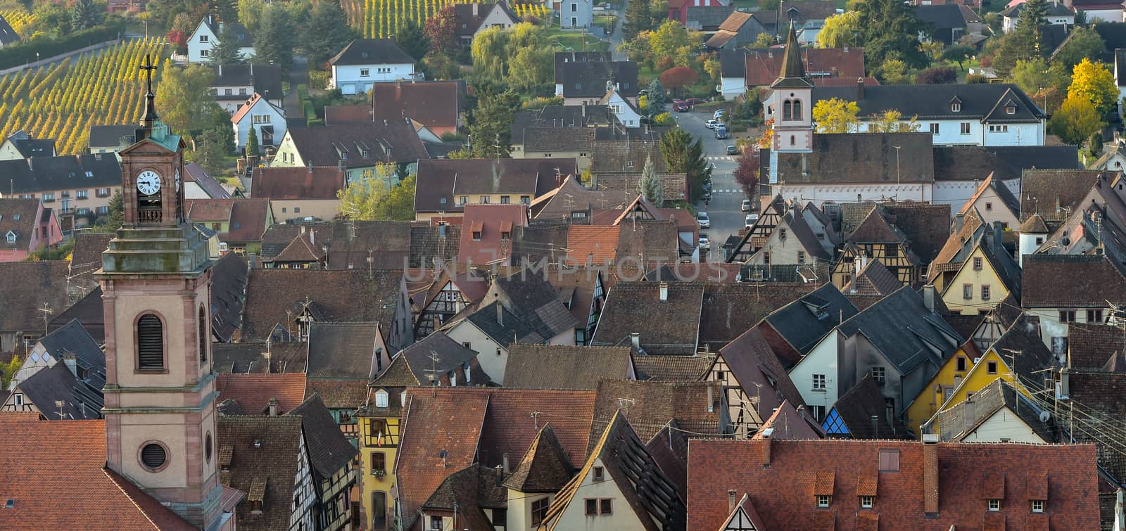 Alsace village, vineyard, Riquewhir, France, Europe, Automn