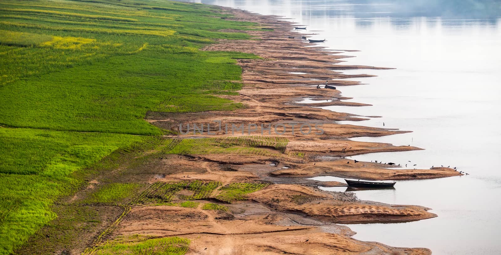 Soil erosion banks of the Ganges River. by dymov