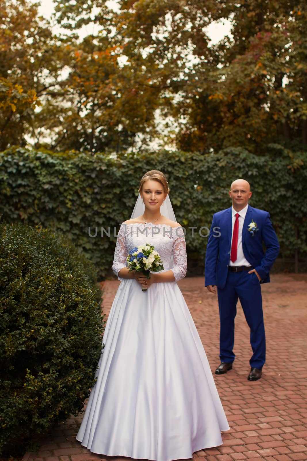 Wedding photography newlyweds on a walk on the wedding day