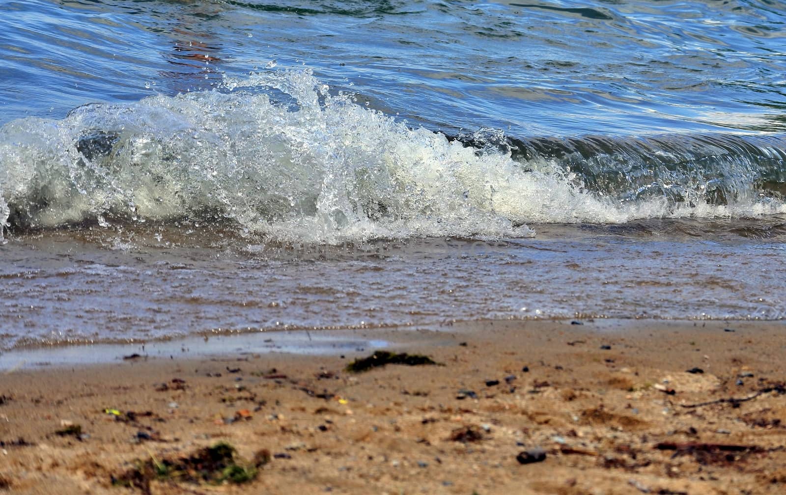 the waves on the shore of the Ural lakes Uvildy in windy weather