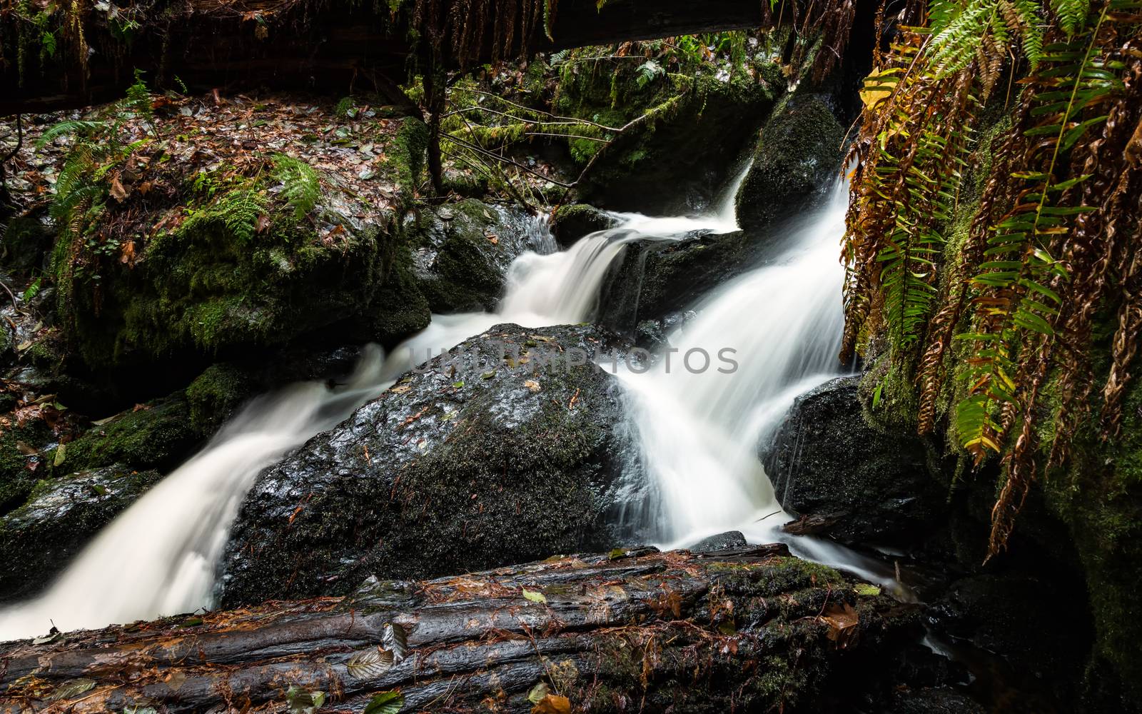 Small Waterfall in the Rain Forest, Color Image