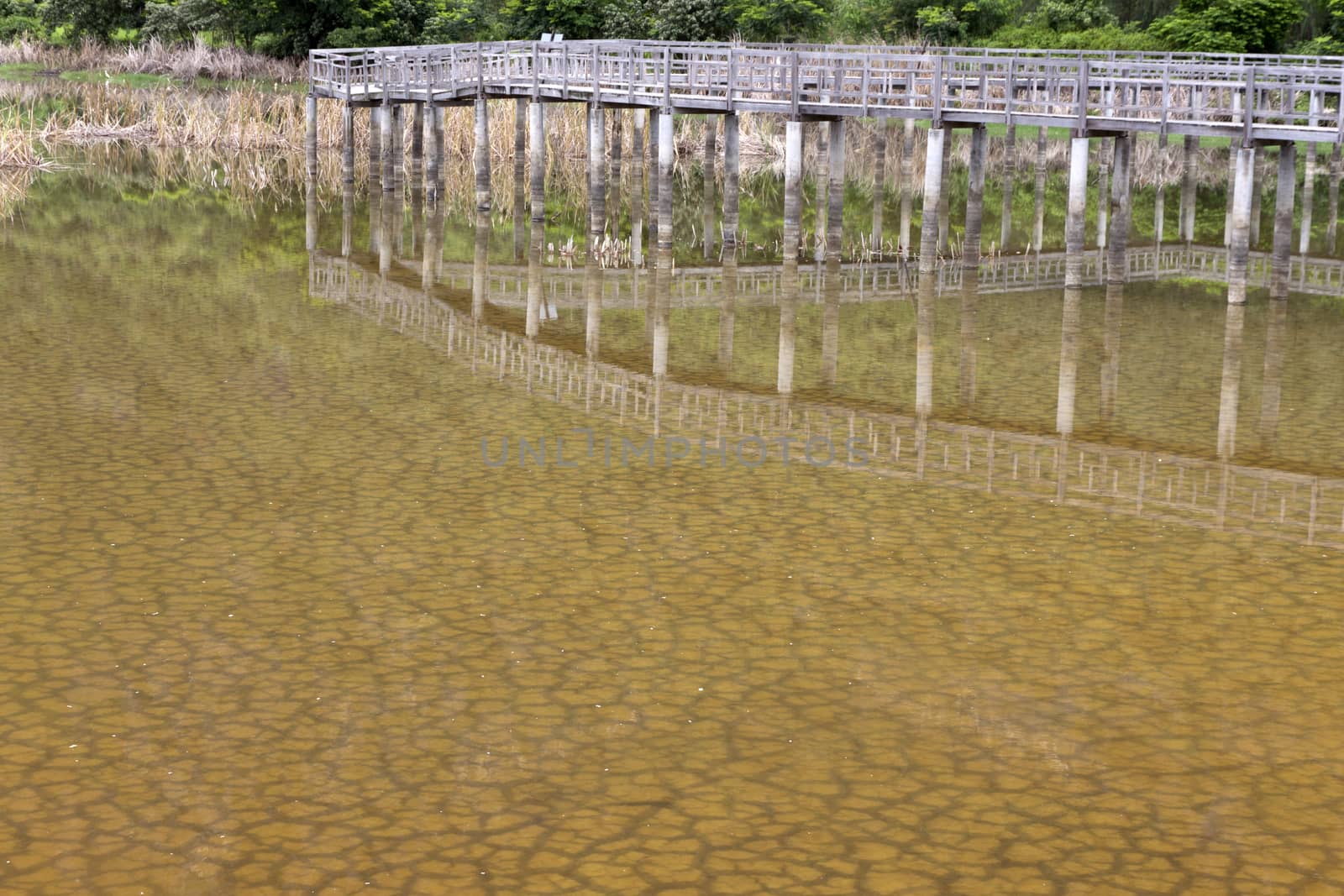 The soil dried had under the flooded and reflection bridge wood. Under water see through of Drought still see traces