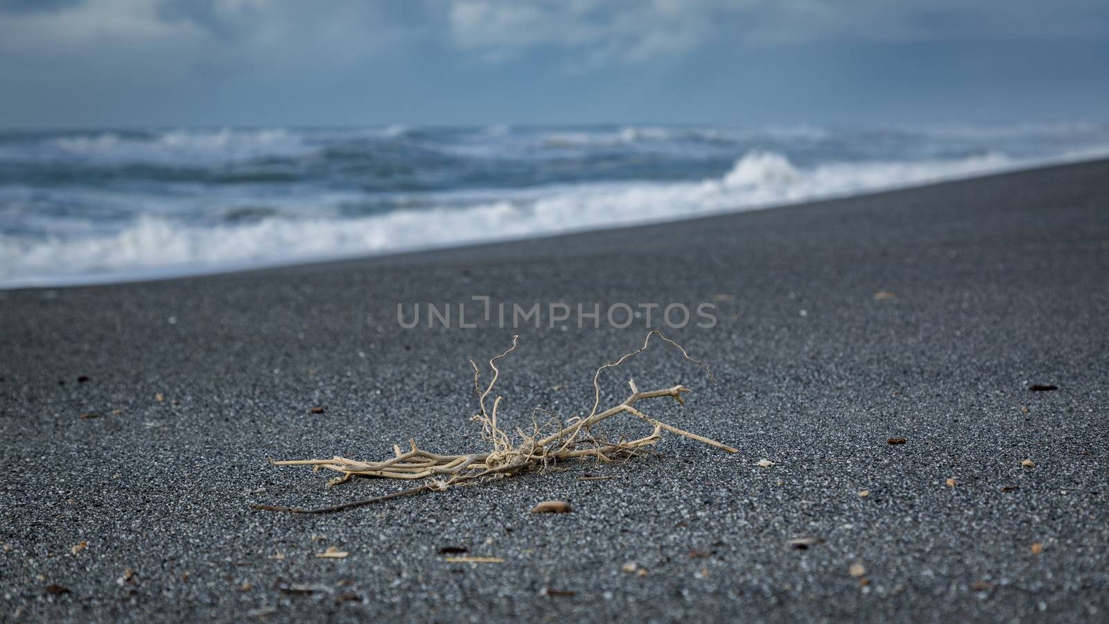 Shoreline Beach Scene from Northern California, Color Image