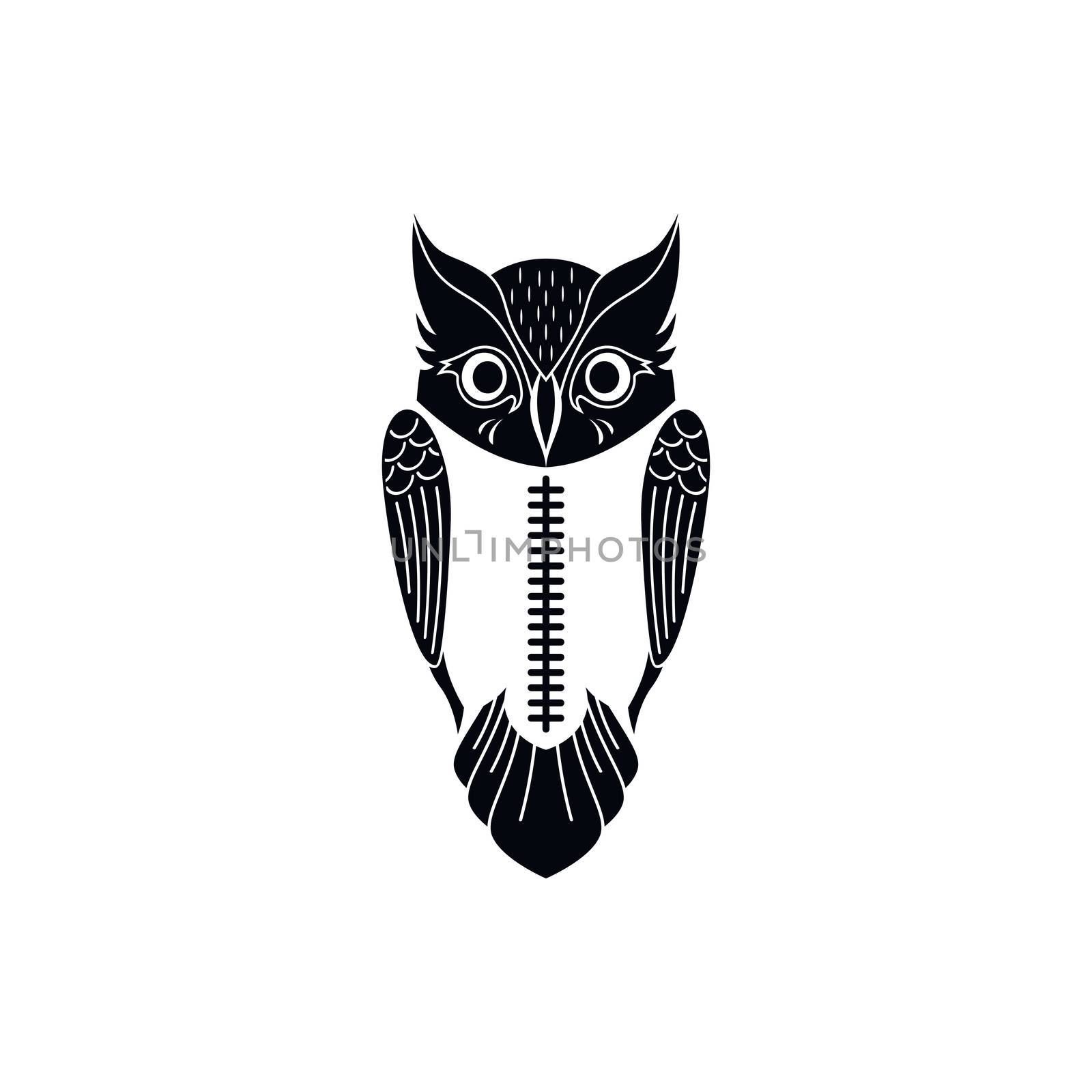 decorative owl bird theme vector art illustration