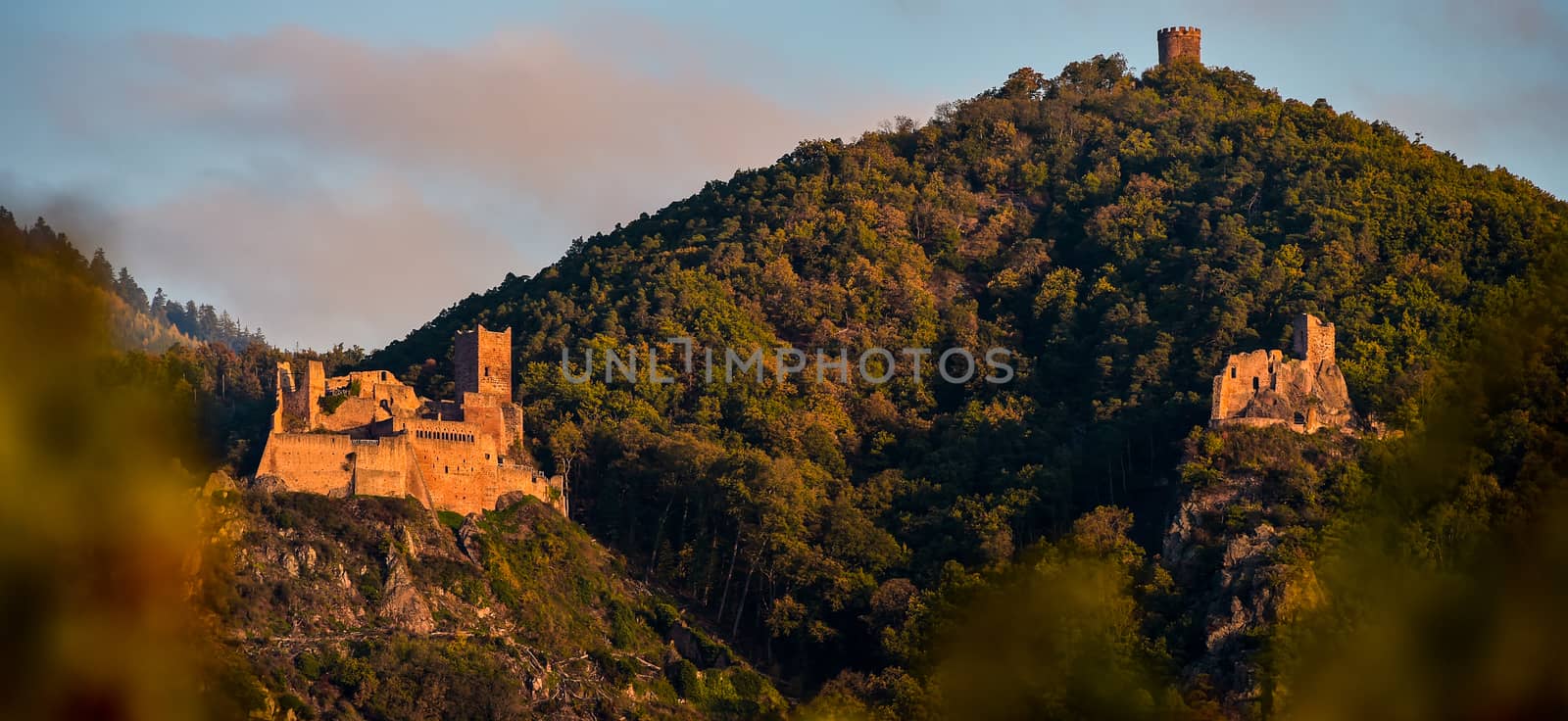 Ribeauville, the castle Saint-Ulrich and Gilsberg, Alsace, France