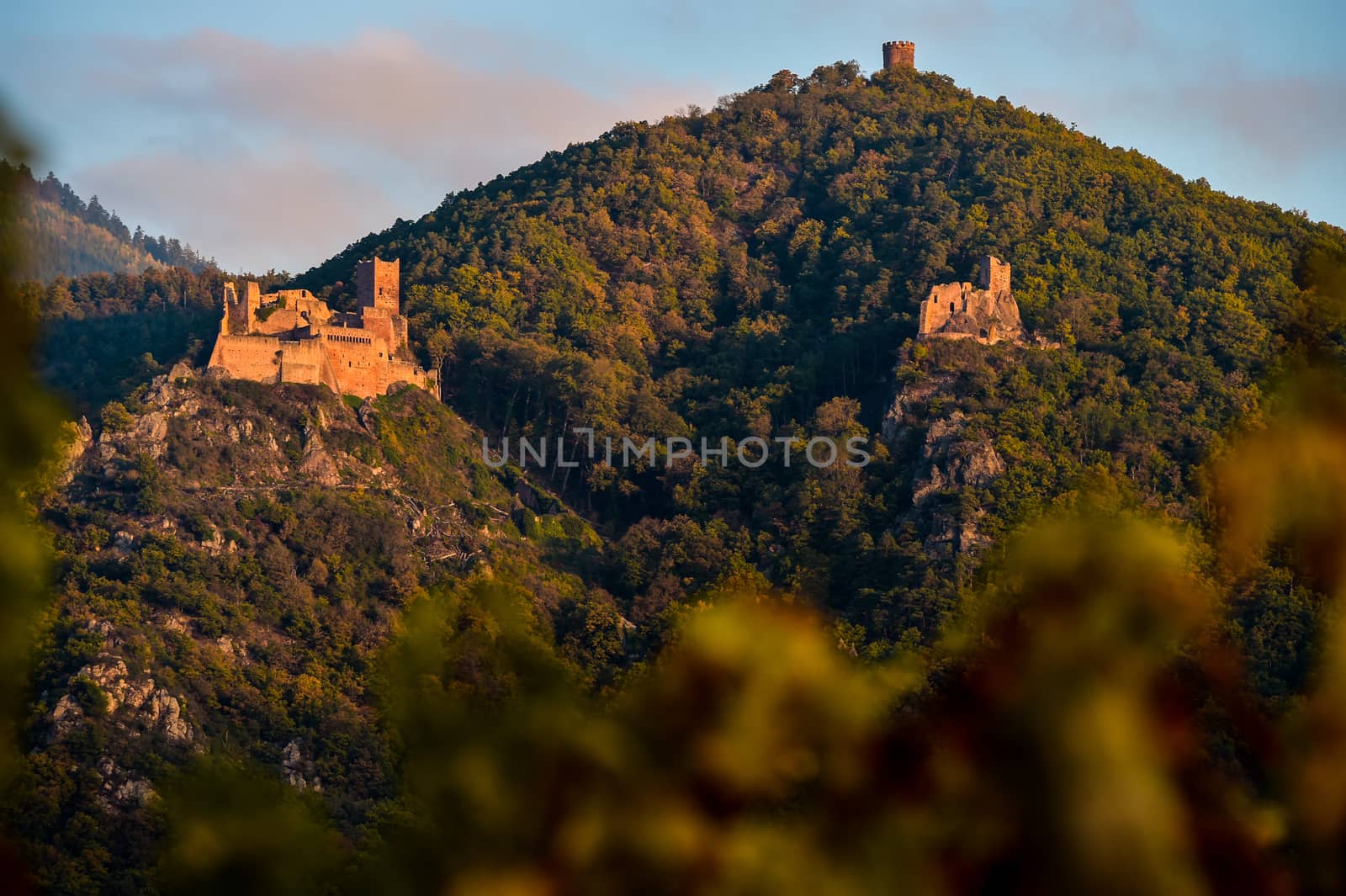 Ribeauville, the castle Saint-Ulrich and Gilsberg, Alsace, France