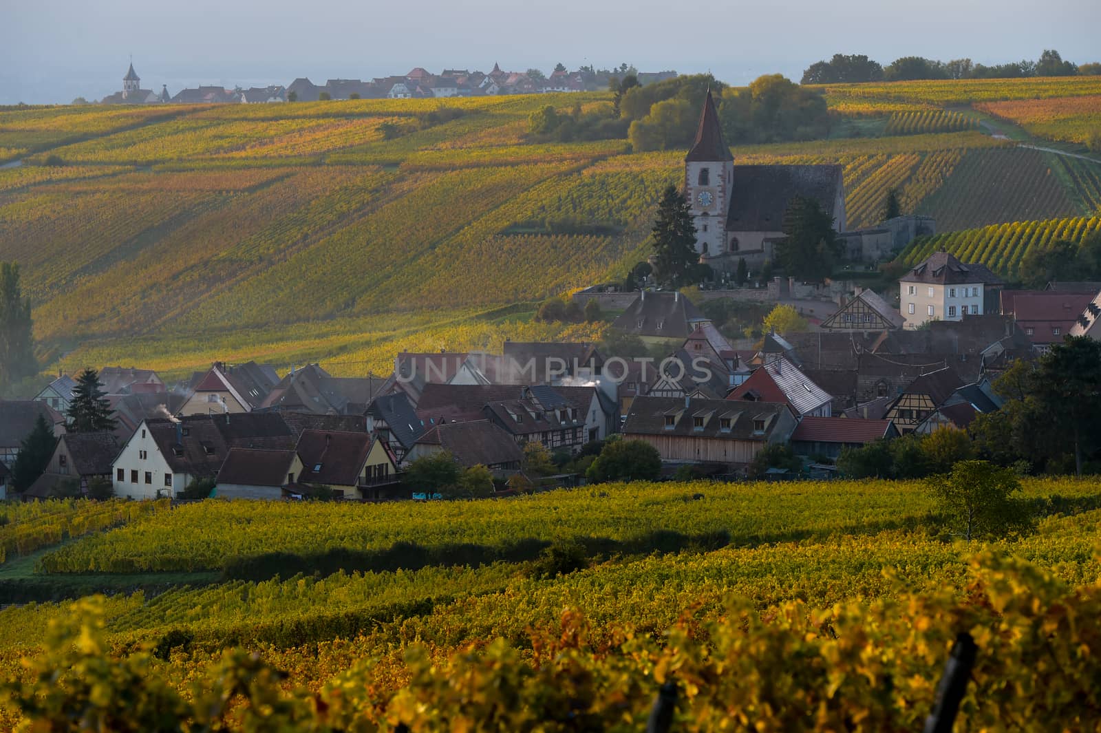 Fortified and medieval church in vineyard in autumn, France