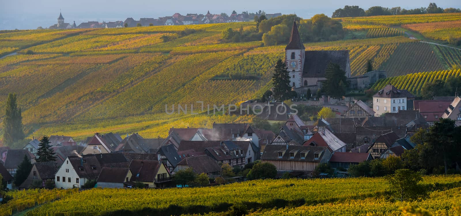 Fortified and medieval church in vineyard in autumn, France