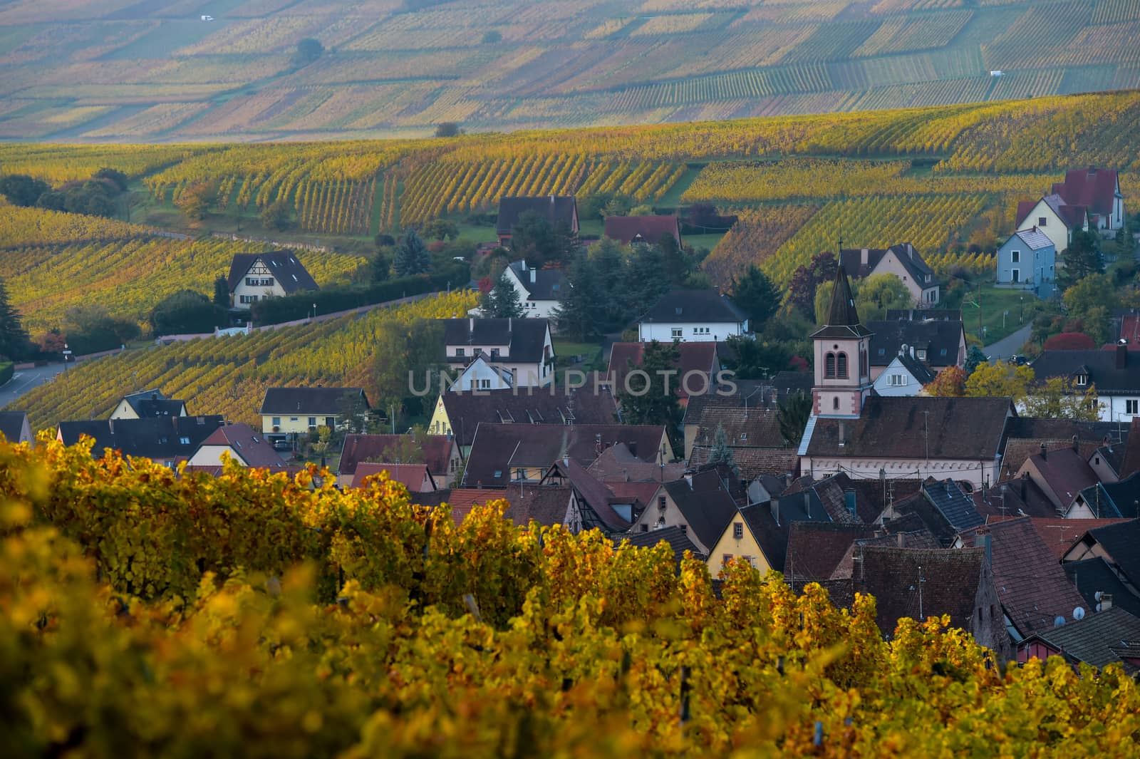 Alsace village, with vineyard, Riquewhir France Europe