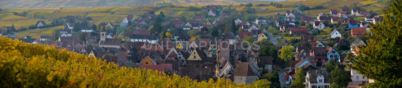 Alsace village, with vineyard, Riquewhir France Europe
