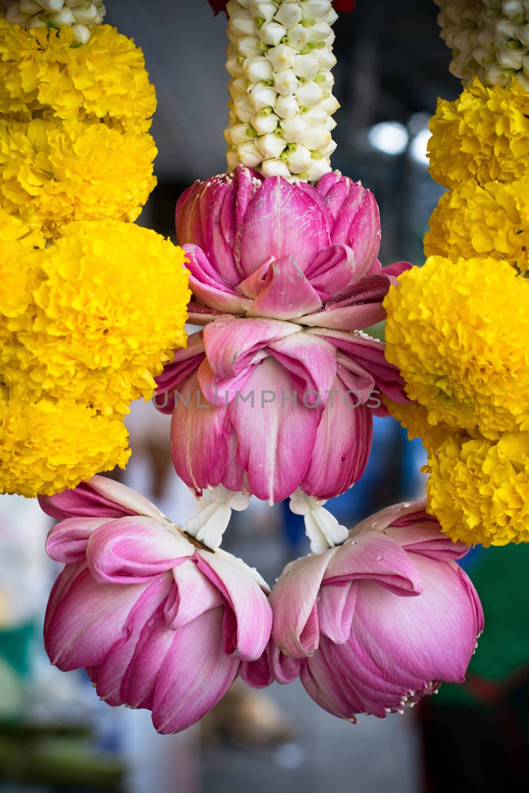 pink lotus flowers hand decorated for Hindu temple praying by khunaspix