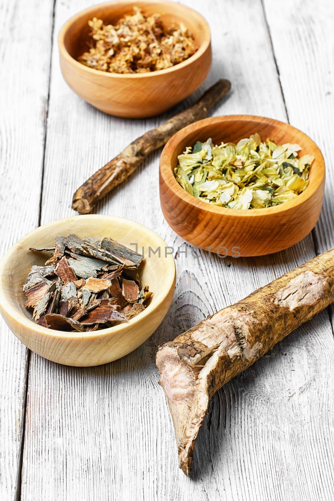 Medicinal herb in the wooden bowl and inula root