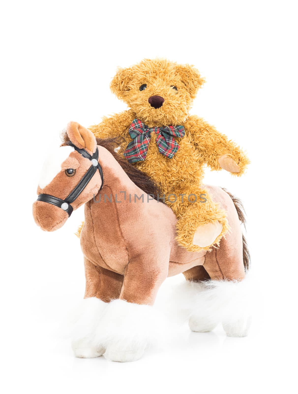 Teddy bear riding a horses on white background