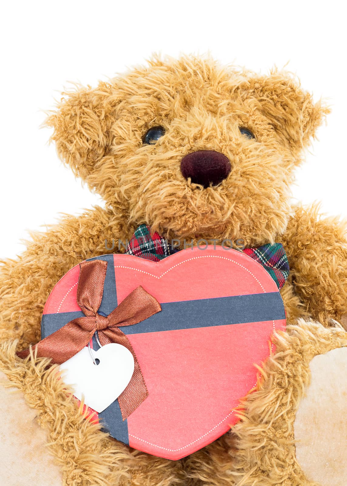 Teddy bear with 
Red heart shaped gift box by stoonn