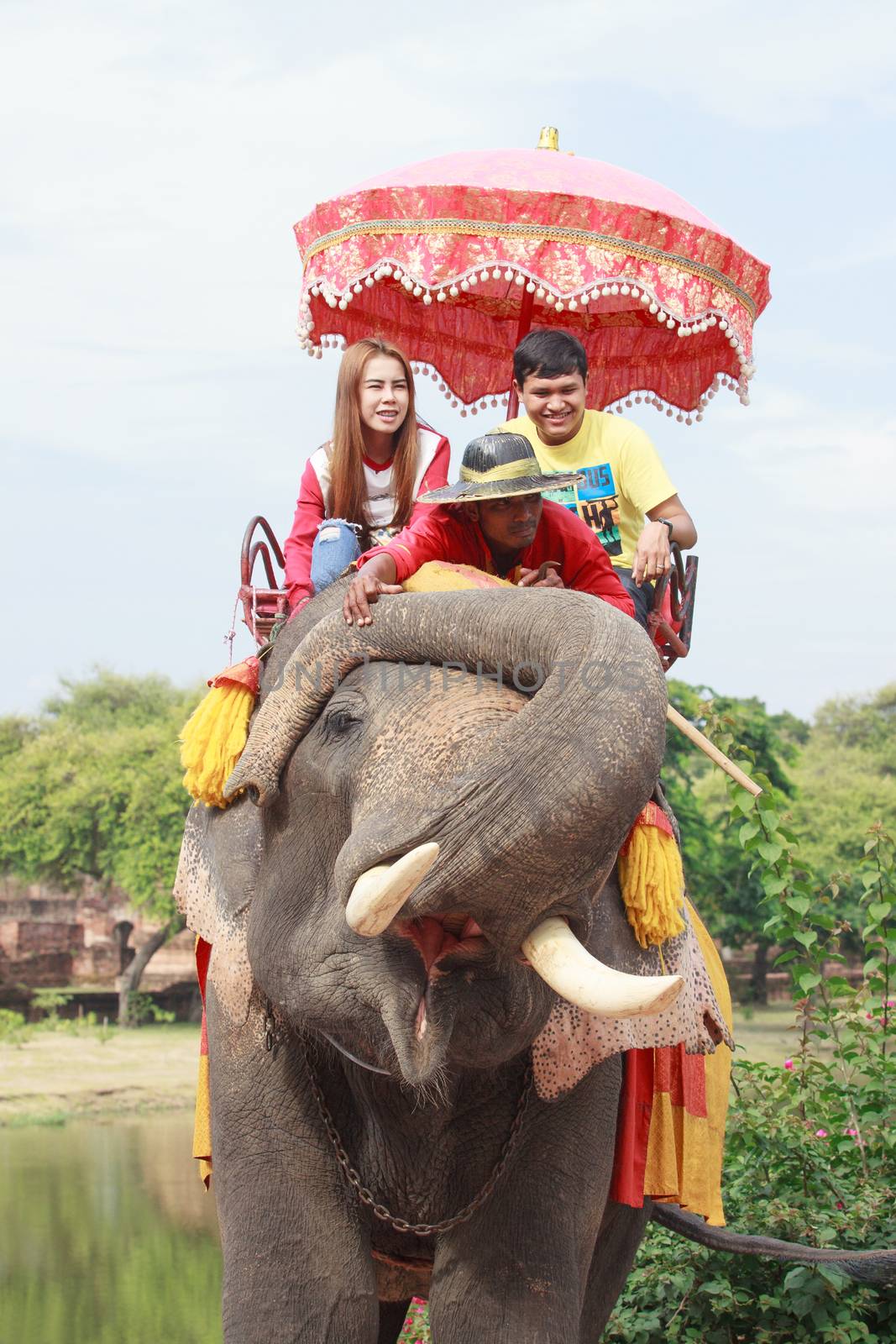 AYUTHAYA THAILAND-SEPTEMBER 6 : tourist riding on elephant back  by khunaspix