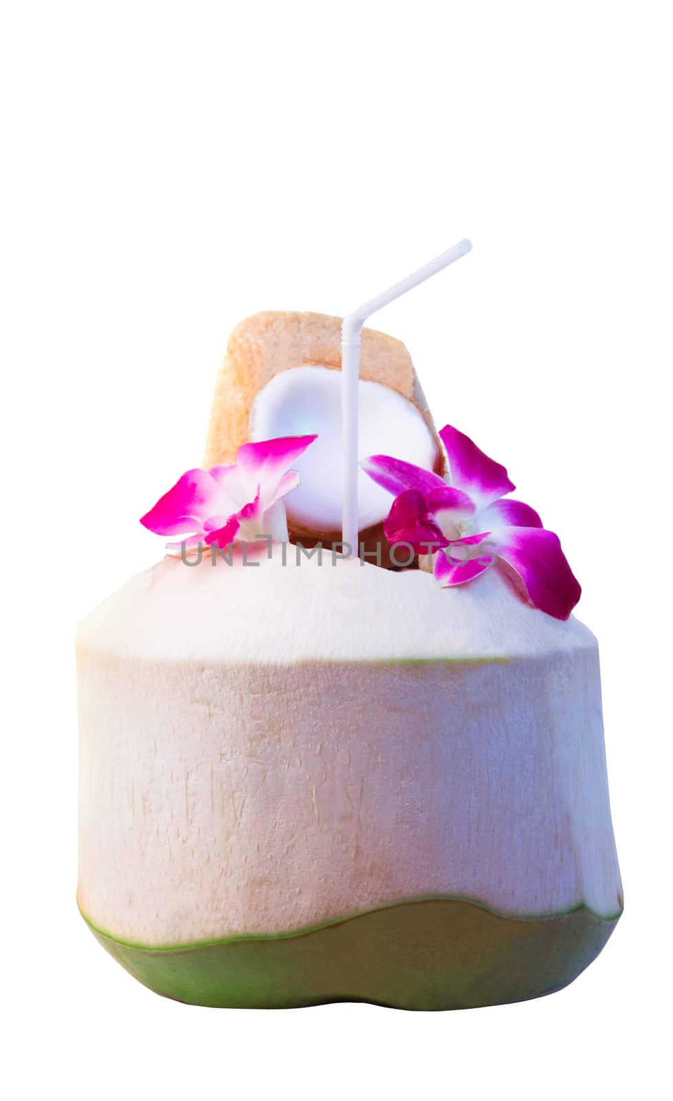 tropical fruit green coconut with beautiful purple orchid flowers petal use for welcome drink in tropical destination place isolated white background
