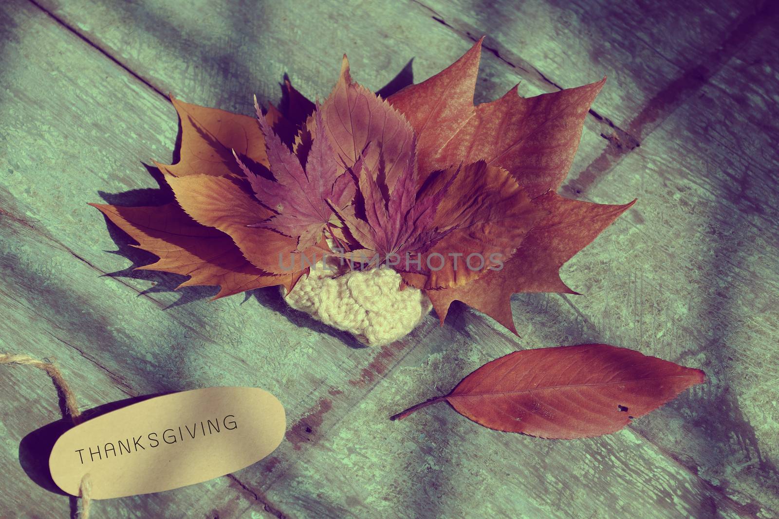 Thanksgiving background with dried maple leaf on wood background, nice leaves in autumn season