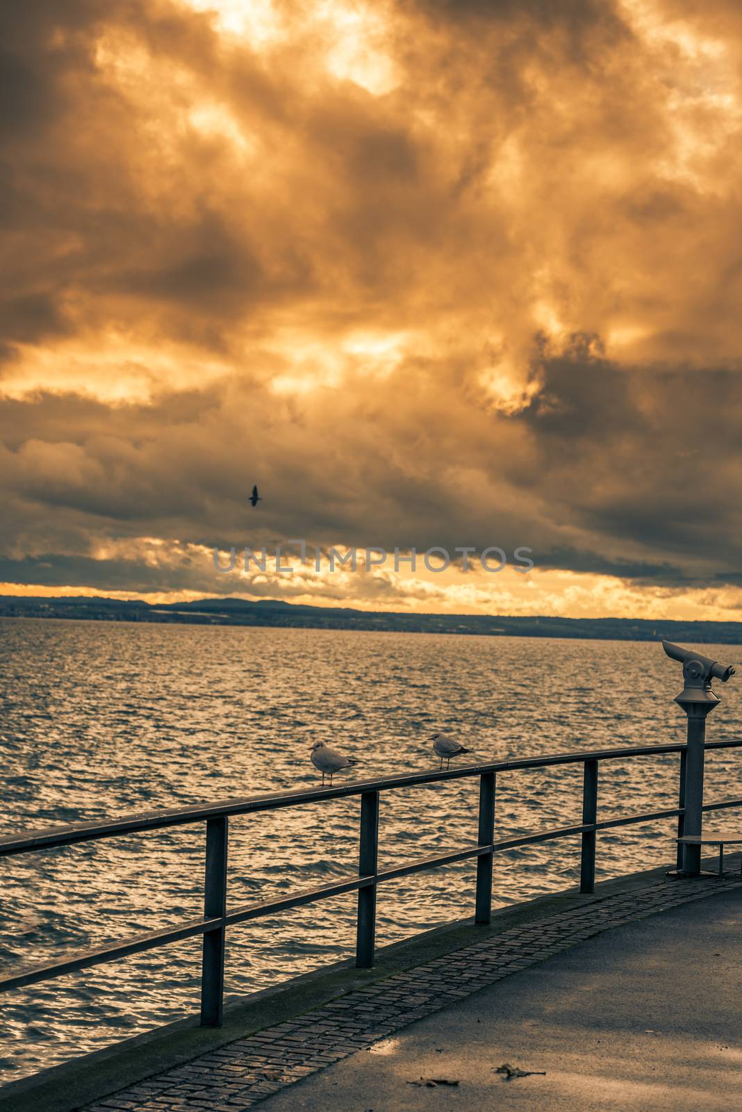 Bodensee lake boardwalk with seagulls staying on the metal railing and a public binocular, under a colorful sky at sunset