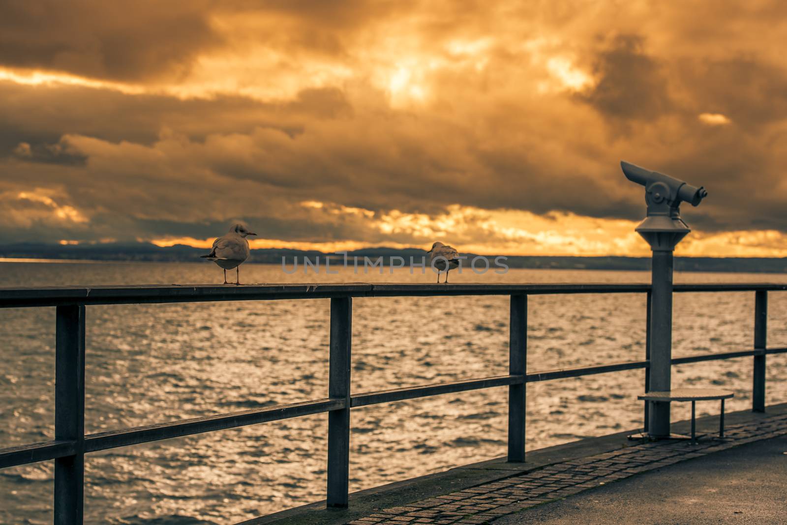 View with two seagulls on a metal railing and the tourists binocular on the boardwalk from the lake Bodensee, in Friedrichshafen city, Germany
