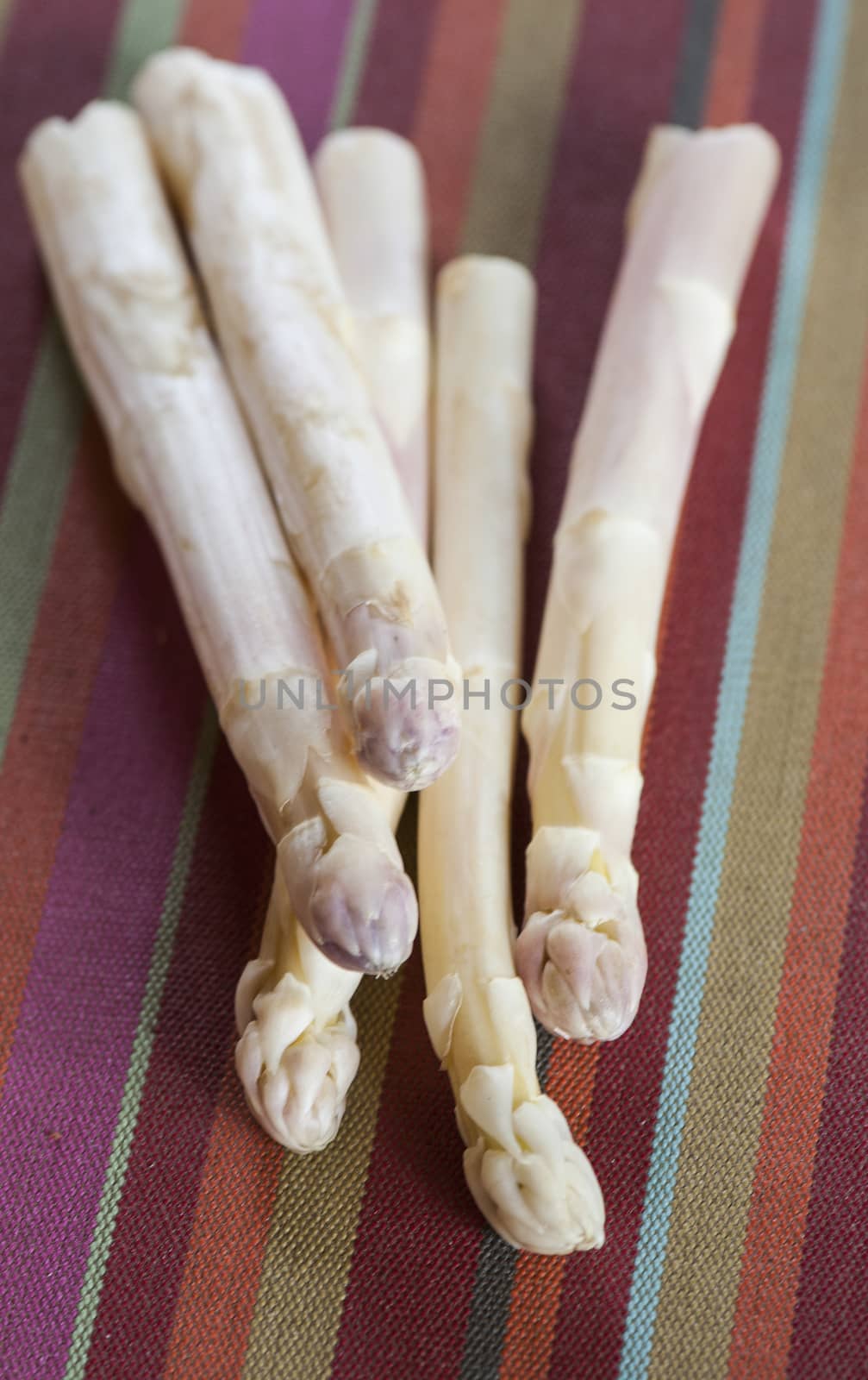 Bunch of white asparagus, Food, France