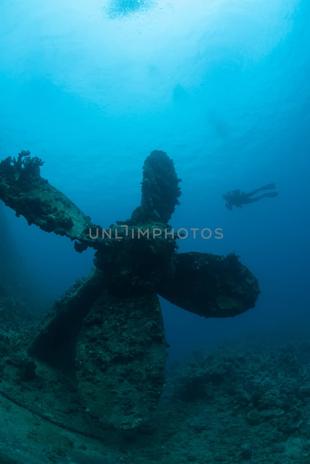 sunken ship wreck underwater diving Sudan Red Sea by desant7474