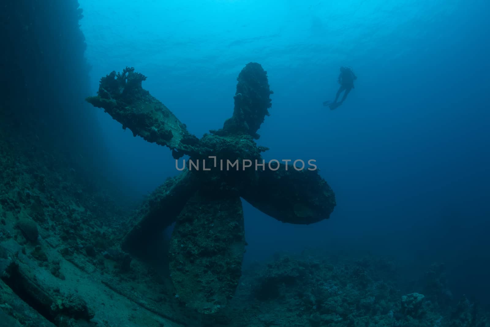 sunken ship wreck underwater diving Sudan Red Sea by desant7474